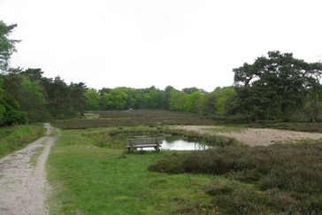 Vennetje in de Heide