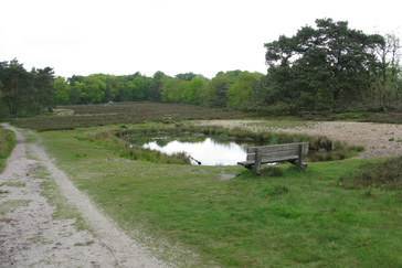 Vennetje in de Heide