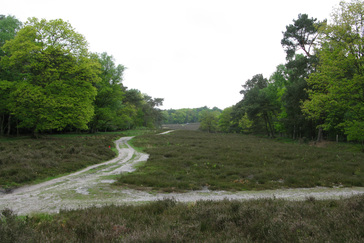 Knooppunt op de heide