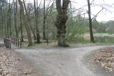 Aanleg in Engelse landschapsstijl