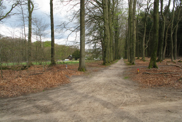 Knooppunt Huize Zevenster