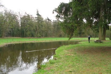 Middelste Vijver Warnsborn