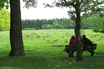 Bankje op de Westerheide