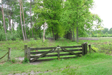 Westerheide met hek