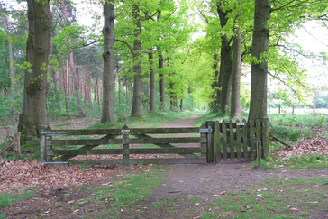 Afrastering voor begrazing