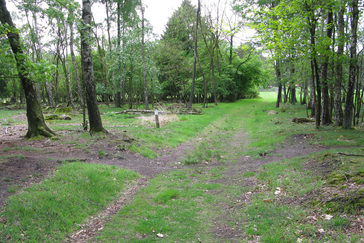 De Westerheide