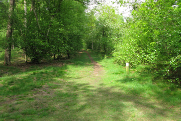 Westerheide knooppunt
