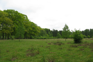 Uitzicht over de Westerheide