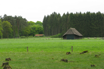 Schaapskooi Westerheide