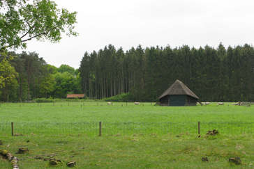 Schaapskooi Westerheide