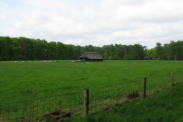 Schaapskooi