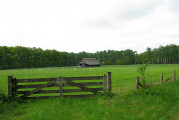 Schaapskooi