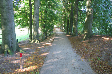 Knooppunt Hoogenkamp