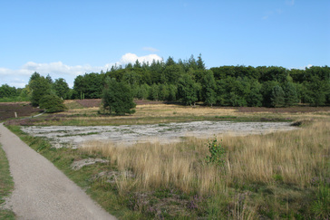 Geplagde Heide Kleine Kweek