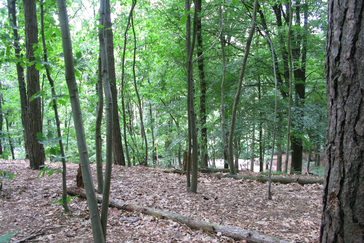 Heuvels Mariëndaal