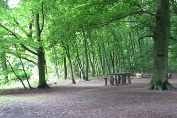 Picknickbank landgoed Mariëndaal
