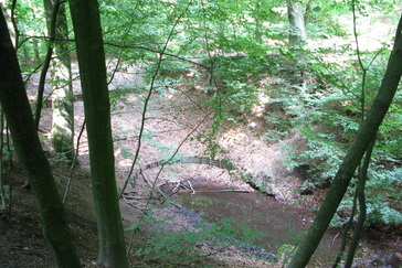 Sprengkop Beek Mariëndaal Sprengkop Beek Mariëndaal