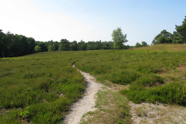 Paadjes door de heide