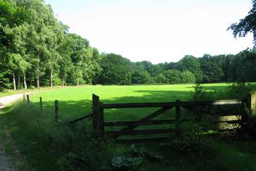 Kleinschalige landbouwpercelen