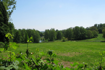 Uitzicht Laag Oorsprong