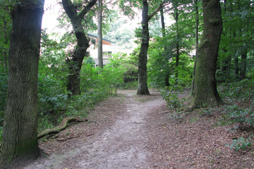 Valckeniersbossen