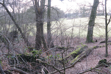 Droogdal