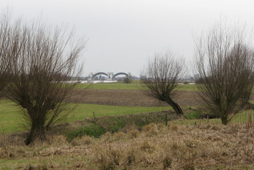 Kwel in de uiterwaarden