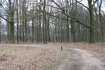 Herplanting hagen