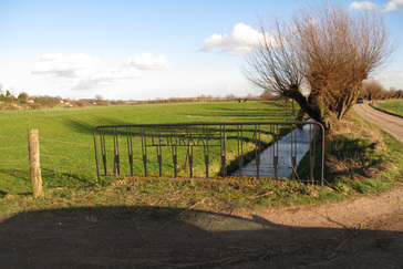 Leigraaf Rosandepolder