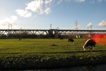 Oude en Nieuwe spoorbrug