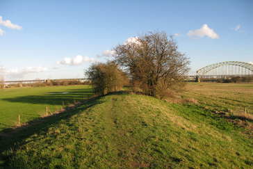 Zomerdijk