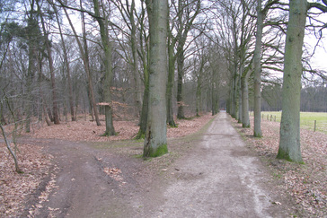 Eikenlaan