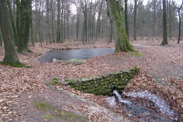 Vijvers Landgoed De Vijverberg