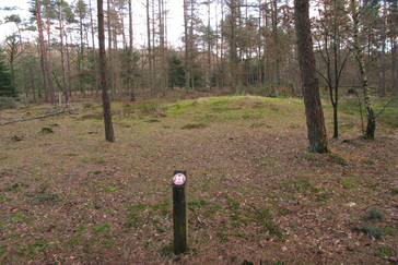 Grafheuvel in het bos