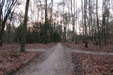 Bossen Landgoed Vijverberg