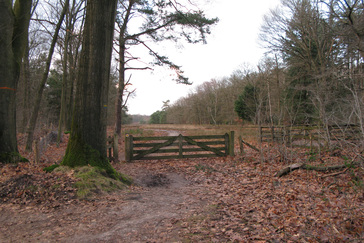 Landgoed Vijverberg Heide Landgoed Vijverberg Heide