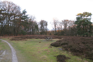 Picknicktafel