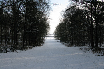 Landgoed Westerbouwing